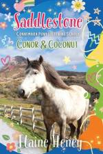 Saddlestone Connemara Pony Listening School | Conor and Coconut