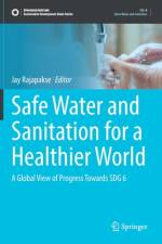 Safe Water and Sanitation for a Healthier World af Jay Rajapakse