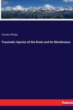 Traumatic Injuries of the Brain and Its Membranes af Charles Phelps