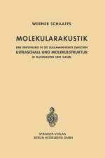 Molekularakustik af Werner Schaaffs