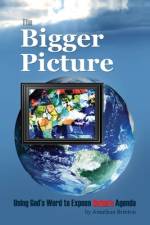 The Bigger Picture af Jonathan Brinton