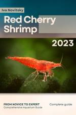 Red Cherry Shrimp af Iva Novitsky