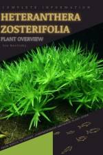 Heteranthera Zosterifolia af Iva Novitsky