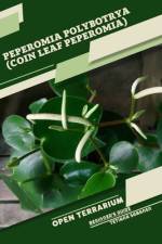Peperomia polybotrya (Coin Leaf Peperomia) af Tetiana Sabanen