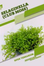 Selaginella (Club Moss) af Tetiana Sabanen