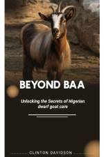 Beyond Baa af Clinton Davidson