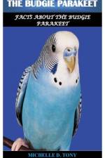 The Budgie Parakeet af Michelle D Tony