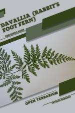 Davallia (Rabbit's Foot Fern) af Tetiana Sabanen