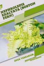 Nephrolepis exaltata (Boston Fern) af Tetiana Sabanen