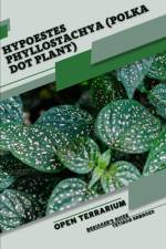 Hypoestes phyllostachya (Polka Dot Plant) af Tetiana Sabanen