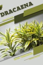 Dracaena af Tetiana Sabanen