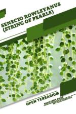 Senecio rowleyanus (String of Pearls) af Tetiana Sabanen
