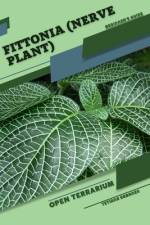 Fittonia (Nerve Plant) af Tetiana Sabanen