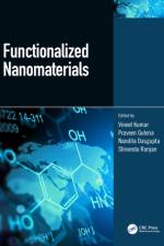 Functionalized Nanomaterials af Vineet (Panjab University Kumar