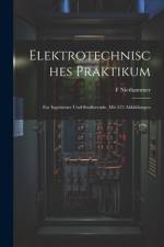 Elektrotechnisches Praktikum af F Niethammer