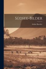 Südsee-Bilder af Arthur Baessler
