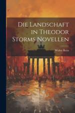 Die Landschaft in Theodor Storms Novellen af Walter Reitz