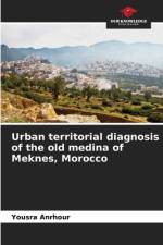 Urban territorial diagnosis of the old medina of Meknes, Morocco af Yousra Anrhour
