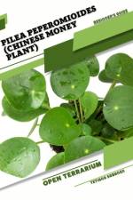 Pilea peperomioides (Chinese Money Plant) af Tetiana Sabanen