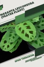 Maranta leuconeura (Prayer Plant) af Tetiana Sabanen