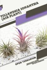 Tillandsia ionantha (Air Plant) af Tetiana Sabanen