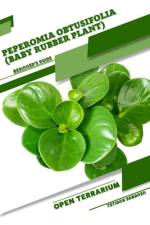 Peperomia obtusifolia (Baby Rubber Plant) af Tetiana Sabanen