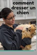 Comment dresser un chien af Doulaye Eliet
