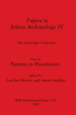 Papers in Italian Archaeology IV