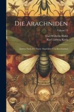 Die Arachniden: Getreu Nach Der Natur Abgebildet Und Beschrieben; Volume 13 af Carl Wilhelm Hahn
