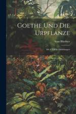 Goethe Und Die Urpflanze af Arno Bliedner