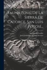 Fauna Fosil De La Sierra De Catorce, San Luis Potosí... af Antonio Del Castillo
