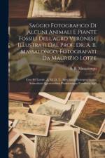 Saggio Fotografico Di Alcuni Animali E Piante Fossili Dell'agro Veronese Illustrati Dal Prof. Dr. A. B. Massalongo, Fotografati Da Maurizio Lotze: Con af A. B. Massalongo