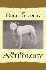 The Bull Terrier - A Dog Anthology (A Vintage Dog Books Breed Classic) af Various