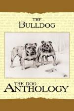 The Bulldog - A Dog Anthology (A Vintage Dog Books Breed Classic) af Various