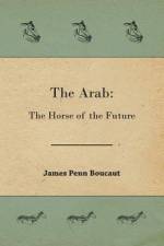 The Arab af James Penn Boucaut
