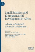 Small Business and Entrepreneurial Development in Africa af Robert E Hinson
