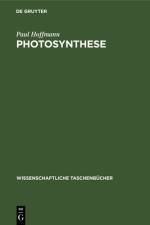 Photosynthese af Hoffmann Paul Hoffmann