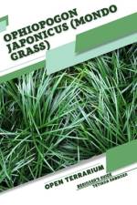 Ophiopogon japonicus (Mondo Grass) af Tetiana Sabanen