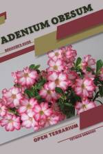 Adenium obesum af Tetiana Sabanen