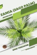 Zamia (Sago Palm) af Tetiana Sabanen