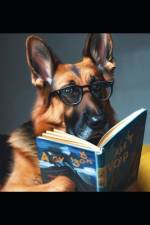 Adopting a dog