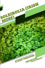 Soleirolia (Irish Moss) af Tetiana Sabanen