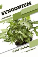 Syngonium af Tetiana Sabanen