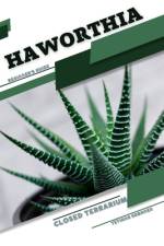 Haworthia af Tetiana Sabanen