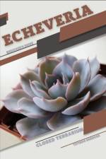 Echeveria af Tetiana Sabanen