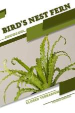 Bird's Nest Fern af Tetiana Sabanen