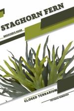 Staghorn Fern af Tetiana Sabanen