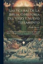 Las Figuras De La Biblia, Ó Historia Del Viejo Y Nuevo Testamento: Descrita En Doscientos Sesenta Y Siete Pasages De La Sagrada Biblia, Con Reflexione af Nicolas Fontaine