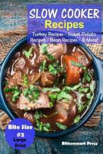 Slow Cooker Recipes - Bite Size #2 af Bittencourt Press