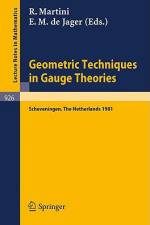 Geometric Techniques in Gauge Theories af E. M. De Jager